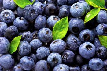 mirtilo-blueberry