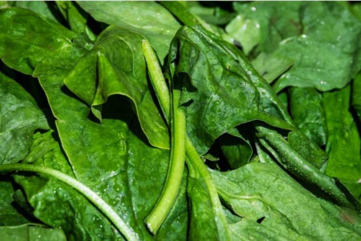 Rustico ricotta e spinaci: l'ingrediente 'segreto' per renderlo gustosissimo