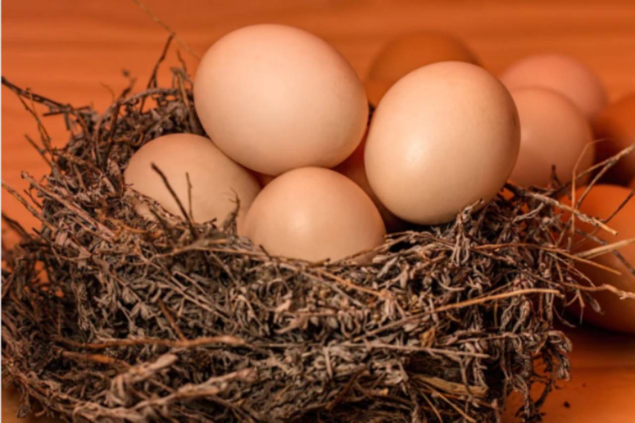Come eliminare la puzza d'uovo dalle stoviglie: l'ingrediente segreto si trova in cucina