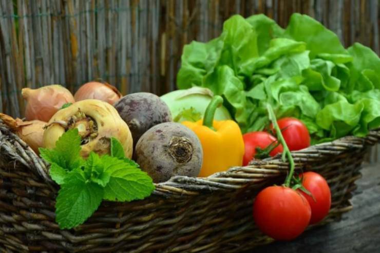Caponata di verdure: il contorno semplice ed economico pronto in 20 minuti