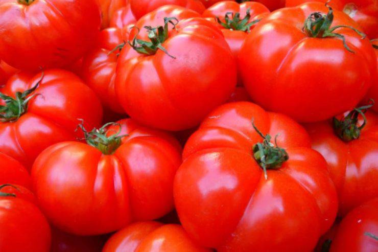 Pomodori al forno: la ricetta semplice ed economica per stupire tutti