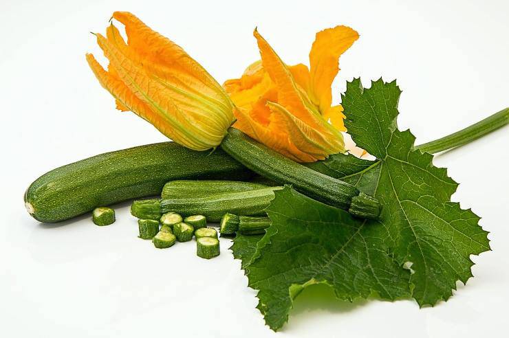 fiori di zucca e zucchine