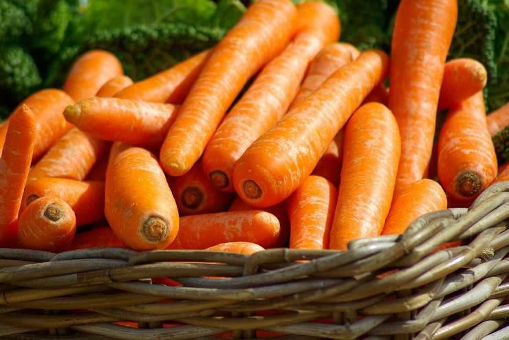 carote fresche