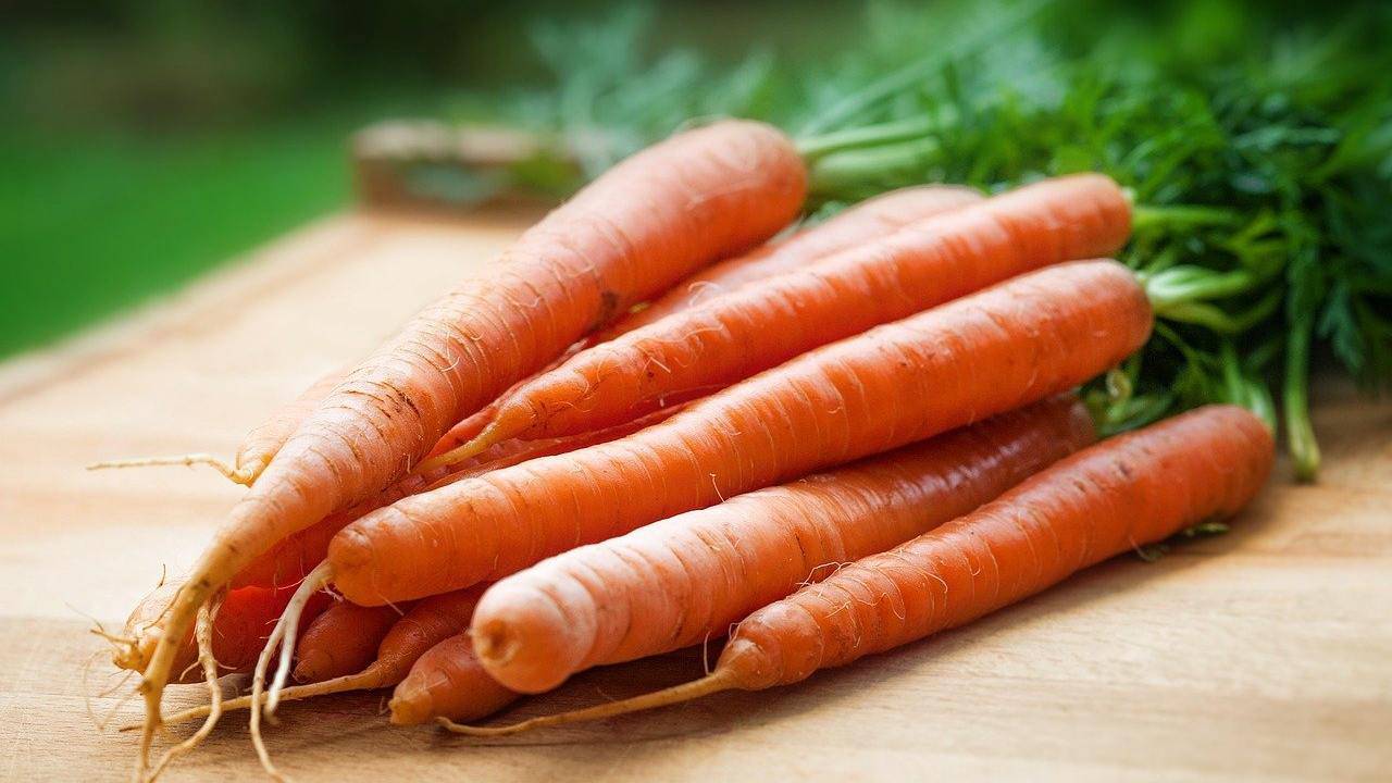 la carota