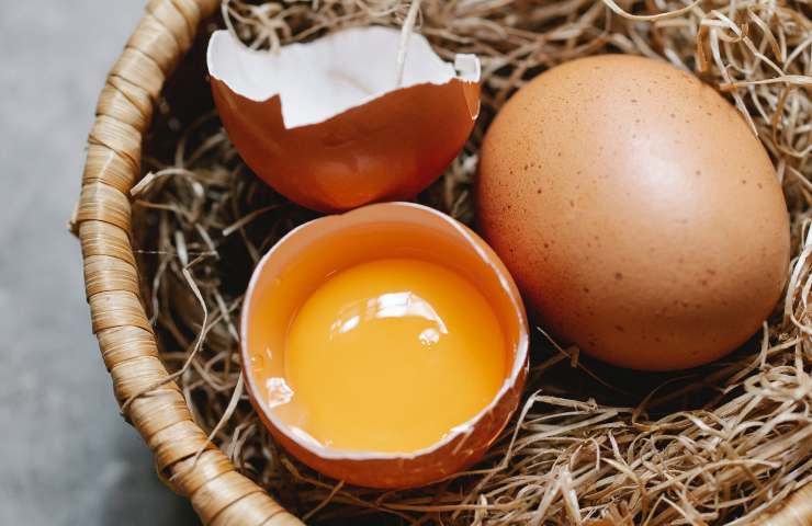 Gusci d'uovo usi alternativi casa giardino