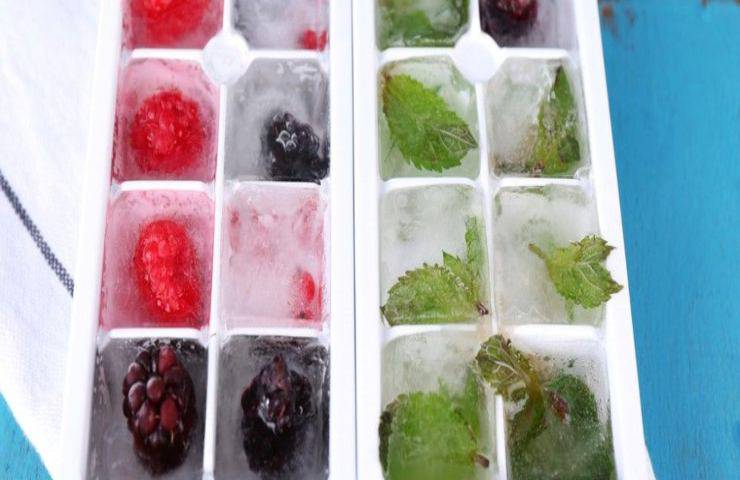 cubetti di ghiaccio con frutta