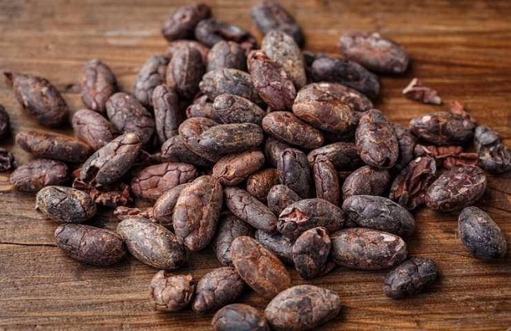 cacao benefici