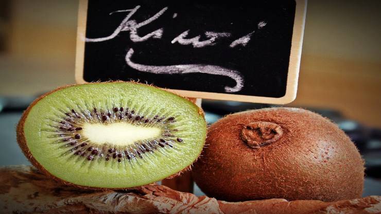 ricetta confettura kiwi