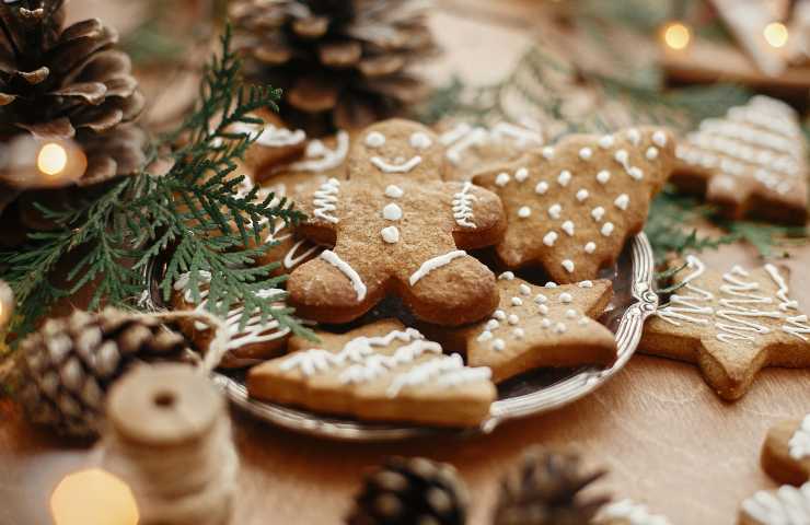 Biscotti Pan di zenzero ricetta Natale super facile 