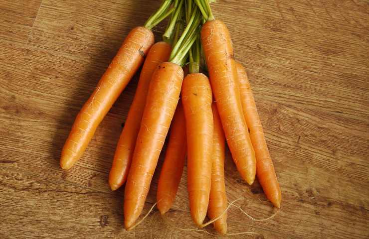 Polpettone spinaci carote ricetta 