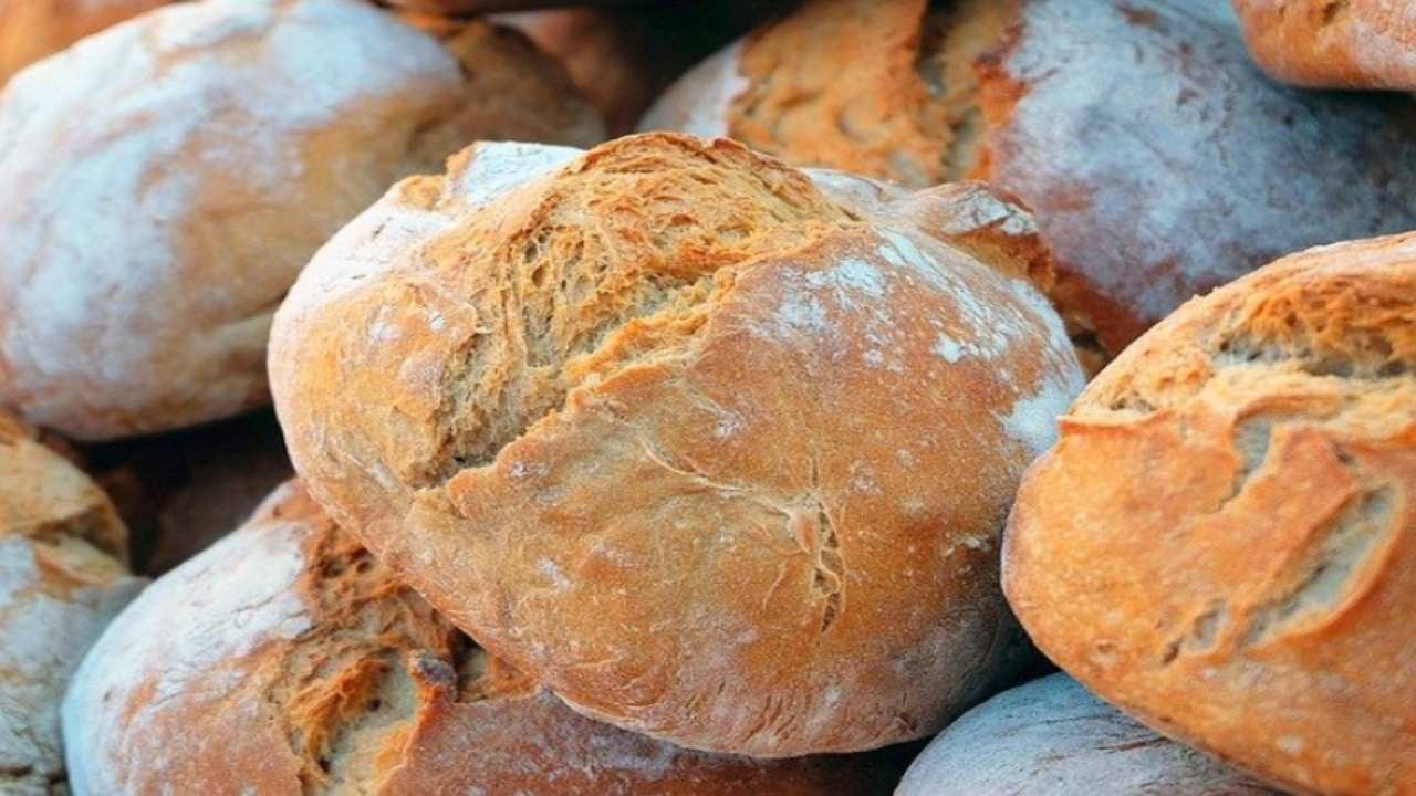 come fare crosta pane trucchi consigli