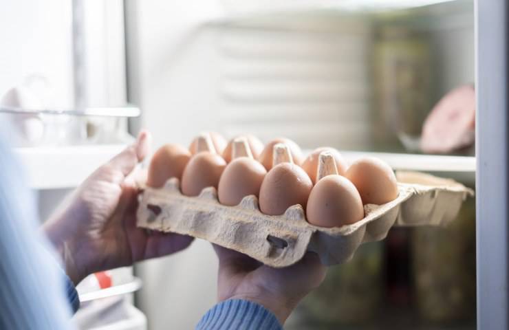 quante uova possono mangiare settimana consigli esperti