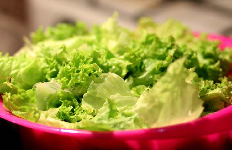 Come mangiare insalata senza gonfiore metodo