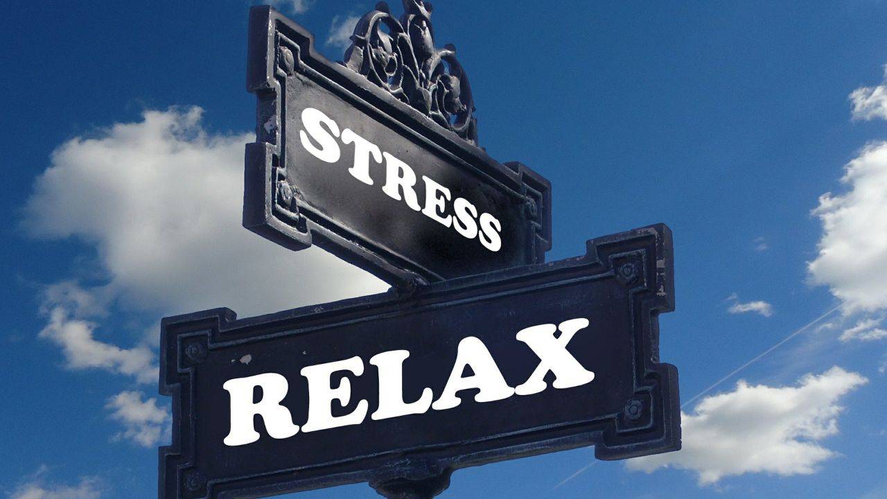 come tenere a bada l'ormone dello stress