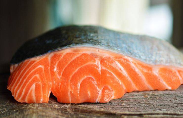 salmone gratinato ricetta sfiziosa