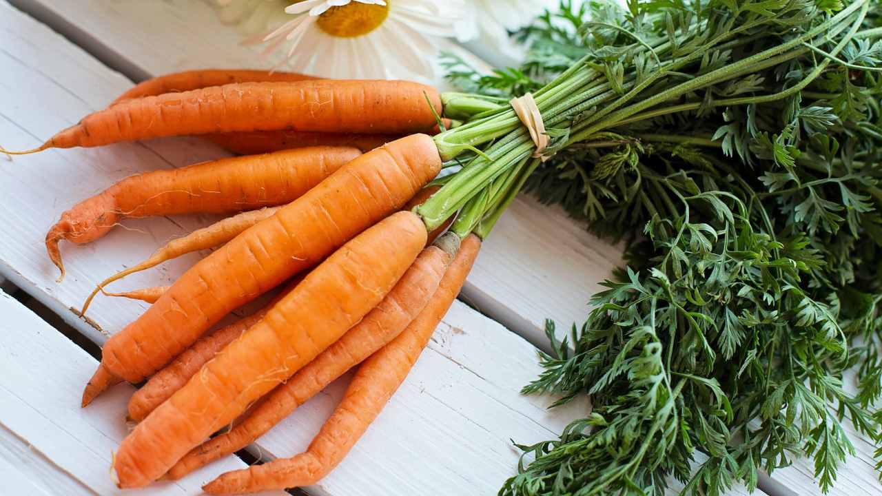 i modi migliori per conservare le carote