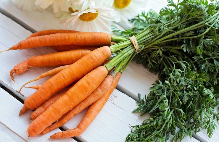 i modi migliori per consevare le carote