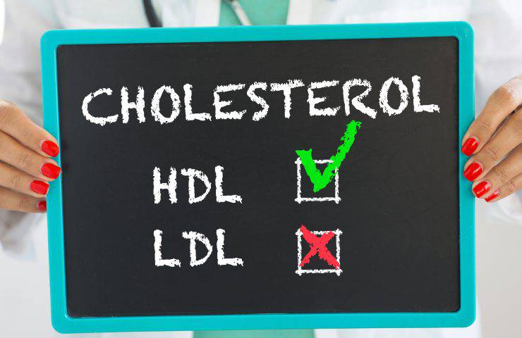 basta un cucchiaio per abbassare il colesterolo con 2 alimenti
