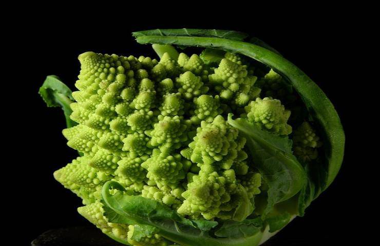 pasta fresca sugo broccoli romani ricetta gustosa