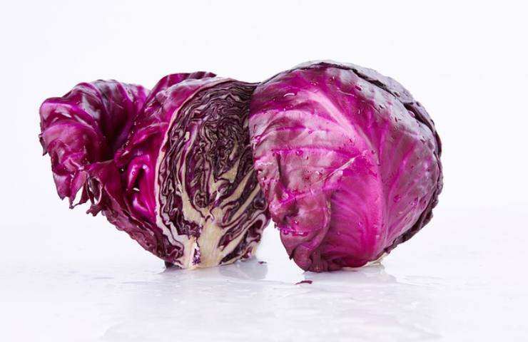 cavolo viola ricetta strauben salati