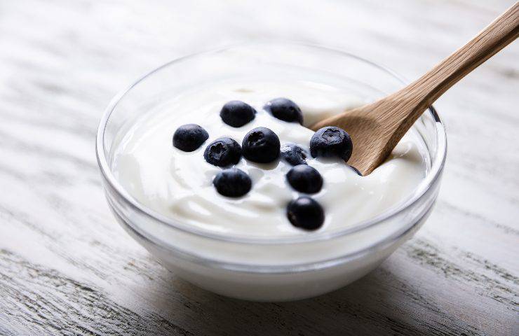 Involtini dolci di piadina con yogurt e mirtilli ricetta veloce