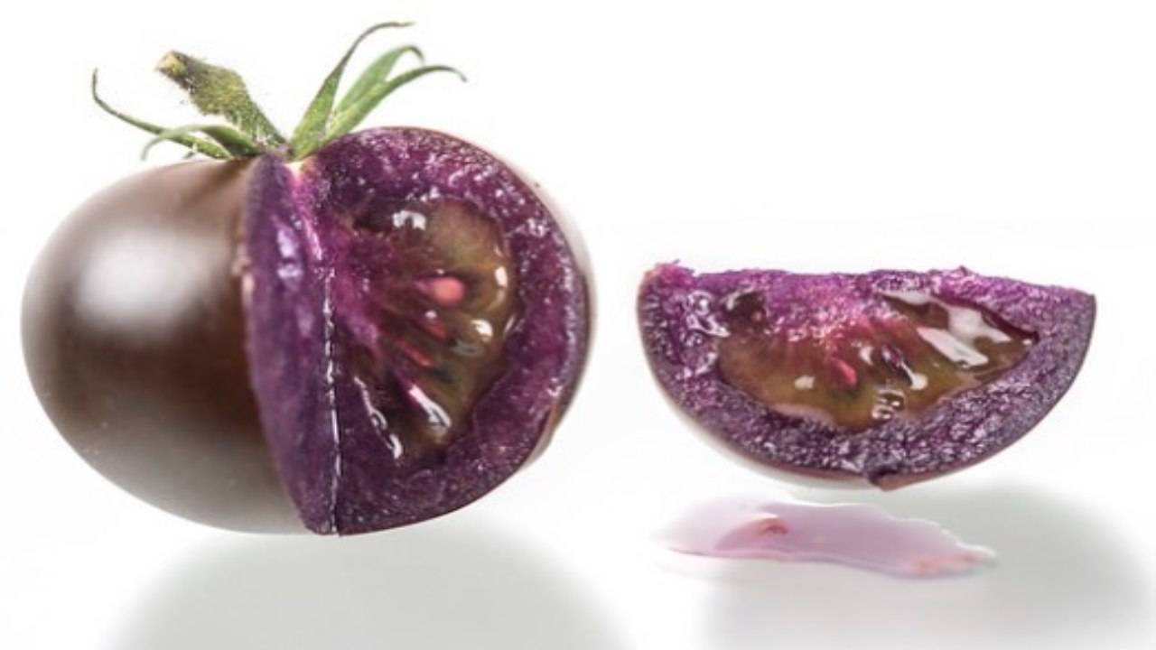 pomodoro viola big purple tomato