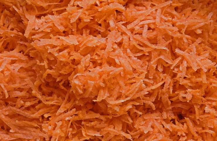 carote tritate ricetta ciambelline carote
