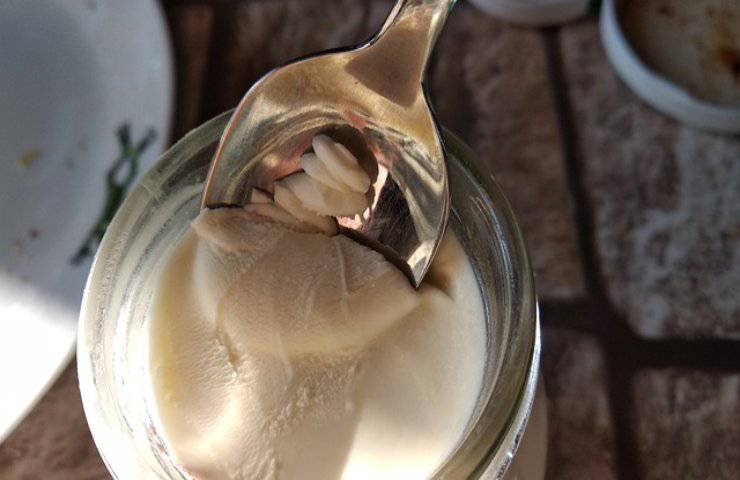 porridge proteico cacao cocco ricetta golosa
