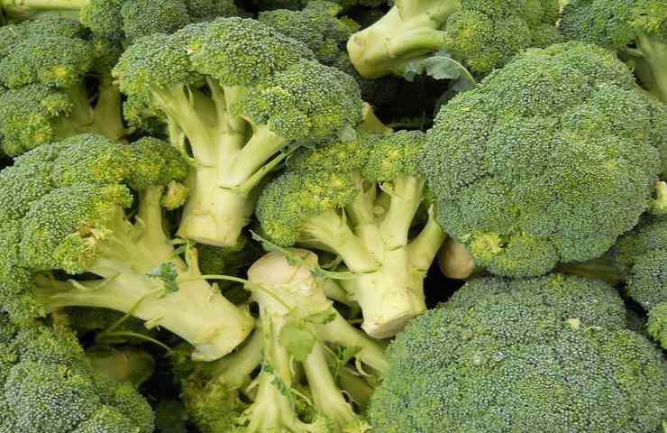 broccoli ricetta timballo pasta Pasqua