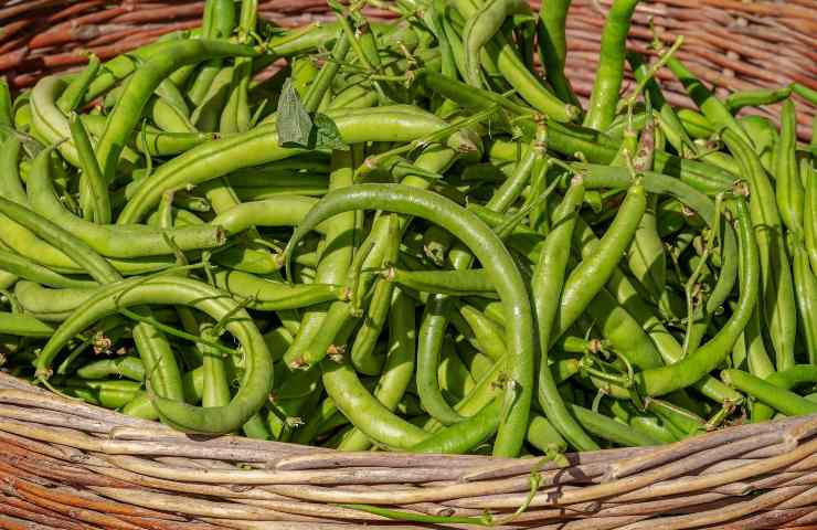 Insalata di fagiolini alla ligure