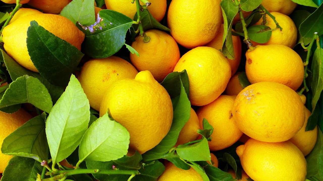 come usare foglie di limoni