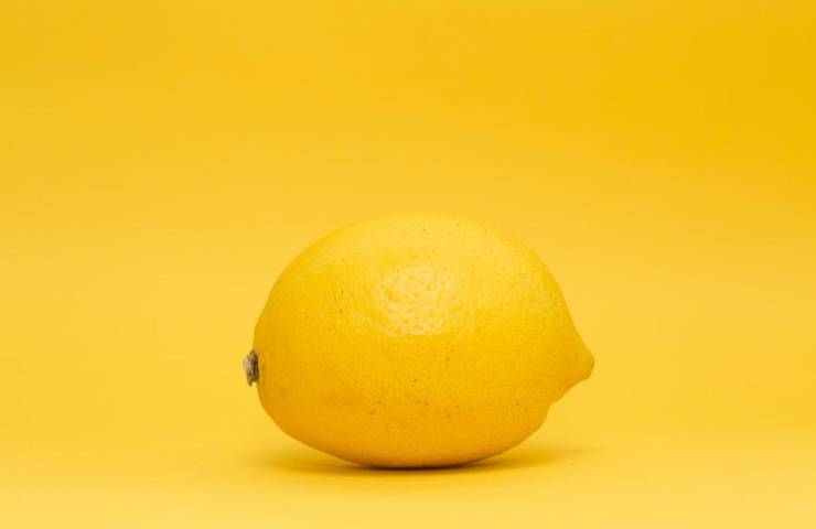 limone aceto sale farina eliminare cattivi odori lavandino