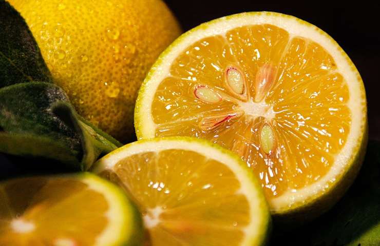 limone contro formiche rimedio naturale