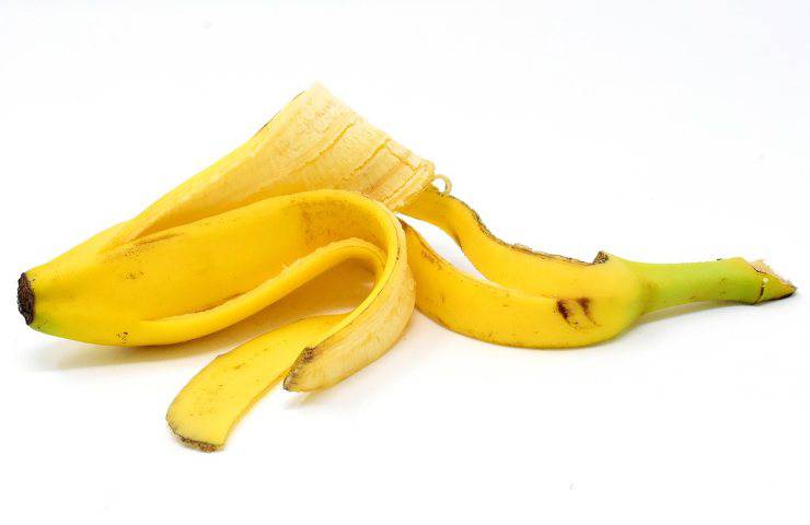 avanzo banana da usare come fertilizzante