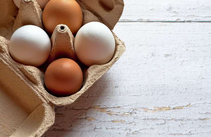 Uova bianche e marroni differenze