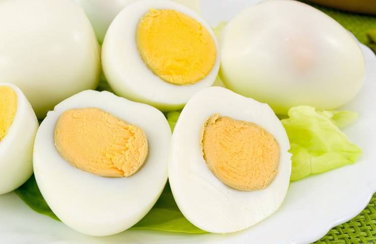 ricetta veloce antipasto solo uovo