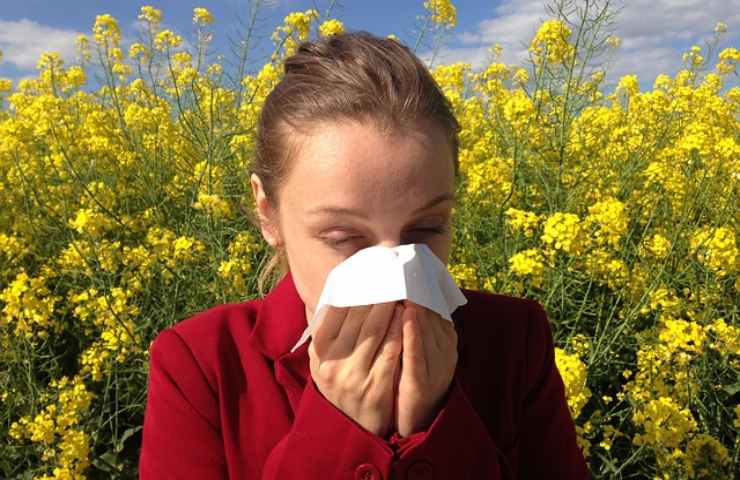 rimedi contro allergie di stagione