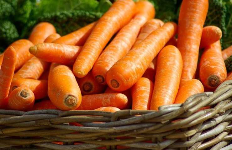 carote 10 cibi pelle sana luminosa bella 