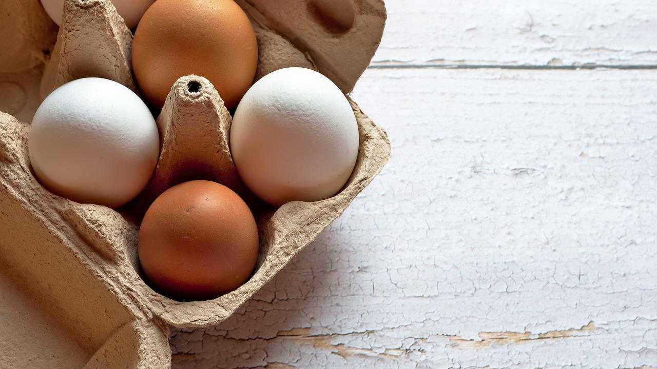 confezioni uova come usarle