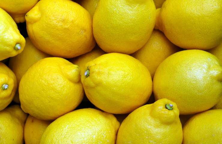Limoni come conservare