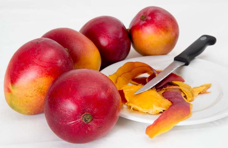 Dieta del mango