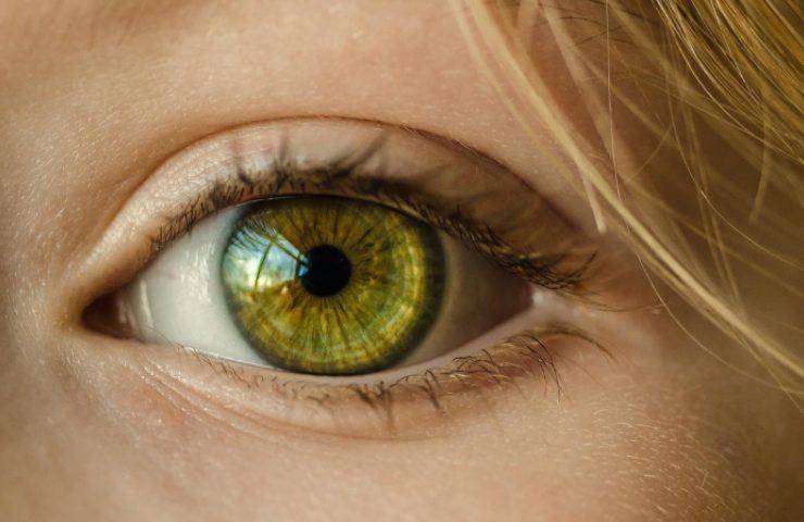 toxoplasmosi oculare sintomi cause