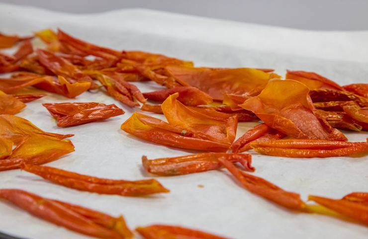 pelle pomodoro essiccata ricetta mezzelune ricotta forte asparagi Antonella Ricci