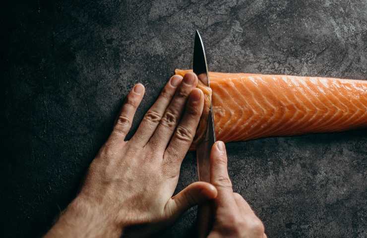 Dieta del salmone perdi peso