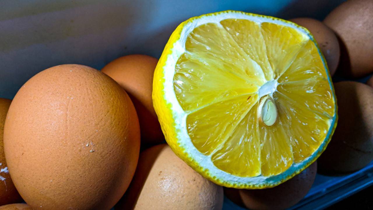 bollire uova limone