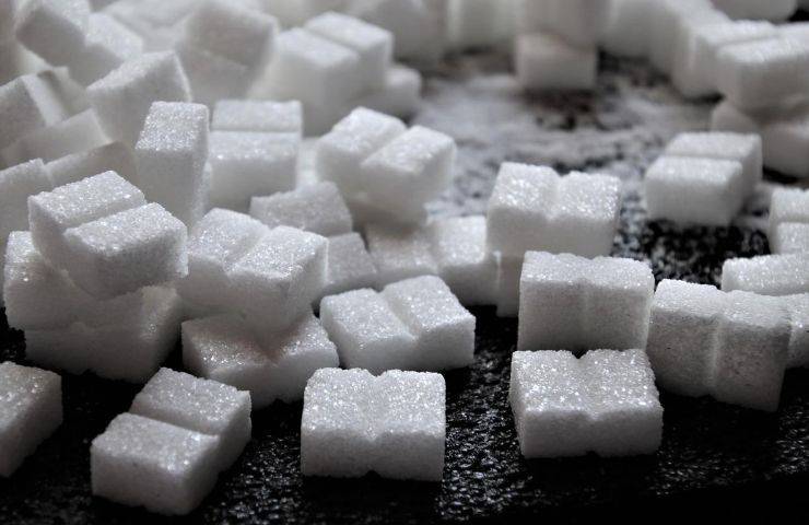 zuccheri controindicazioni fisico