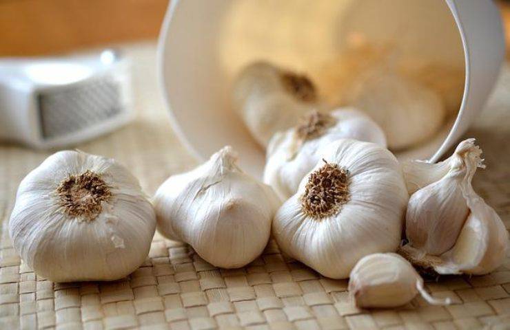 come usare l'aglio in cucina