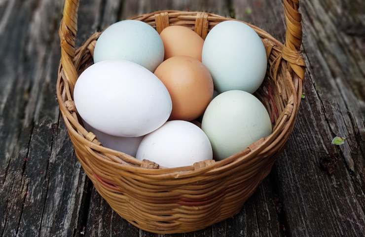 si possono lavare le uova