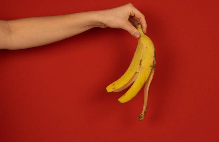 Bollire buccia banana ottieni qualcosa meraviglioso