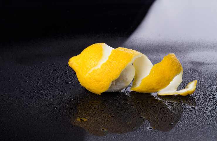Marmellata di limoni Benedetta Rossi